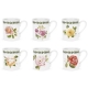 Portmeirion Botanic Roses Breakfast Mug 