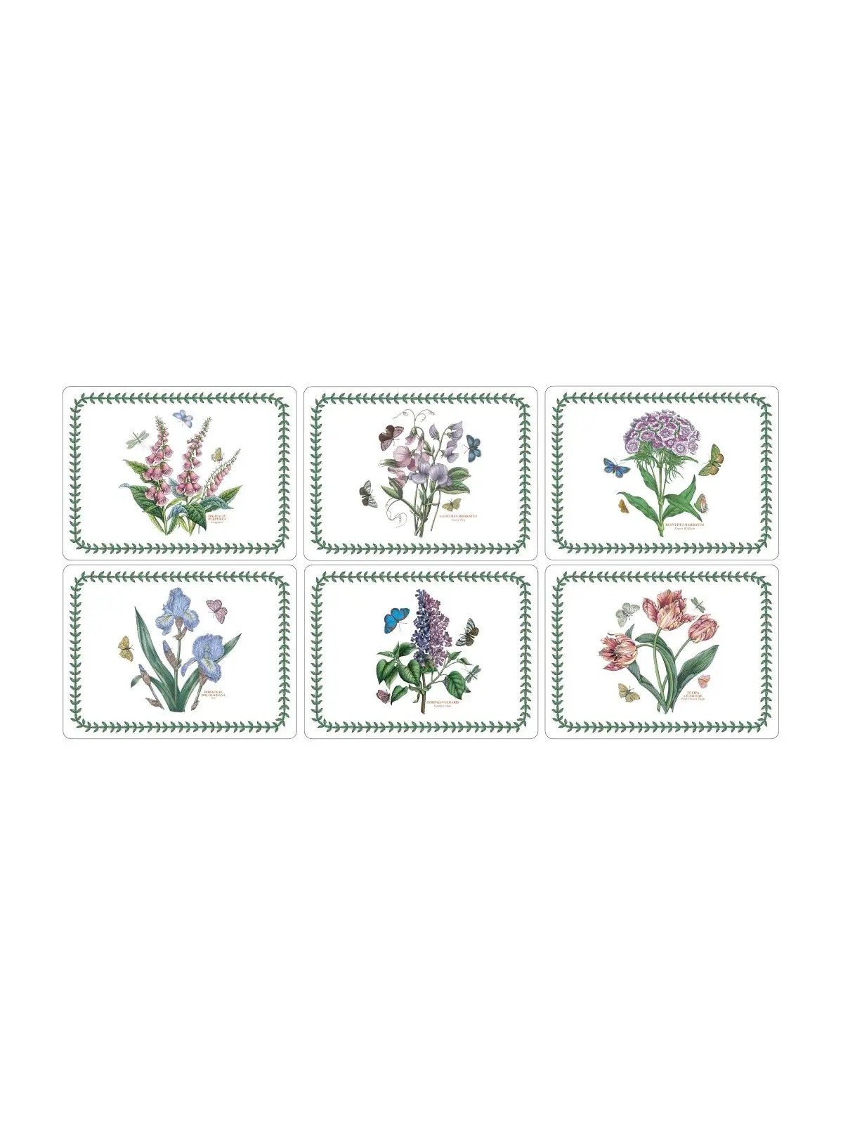 Pimpernel Botanic Garden Set of 6 Placemats