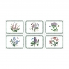 Pimpernel Botanic Garden Set of 6 Placemats