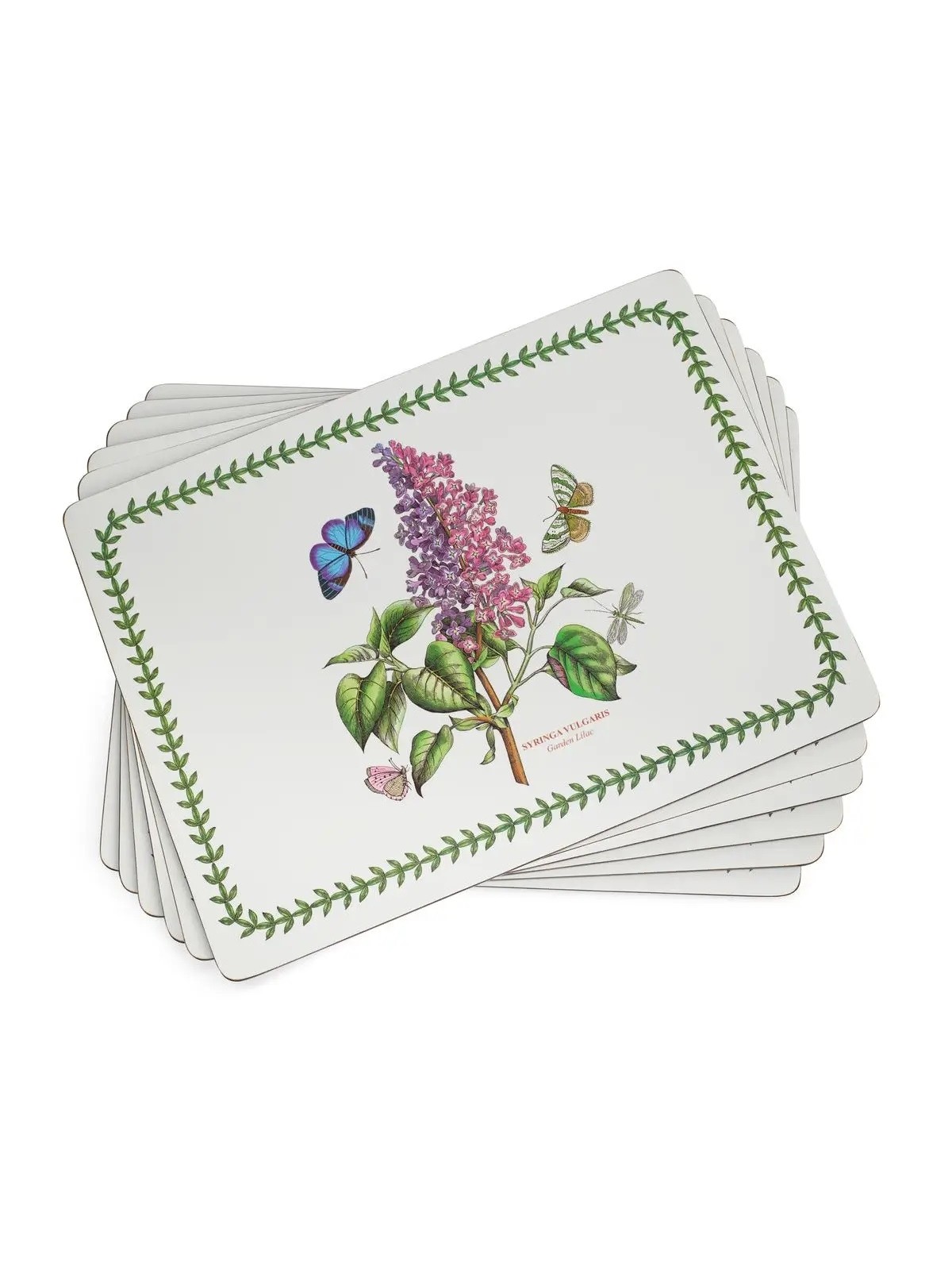 Pimpernel glāžu paliktņi Botanic Garden 6 gb