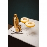 Leopold Vienna Martini Cocktail Set Arinto – Gold
