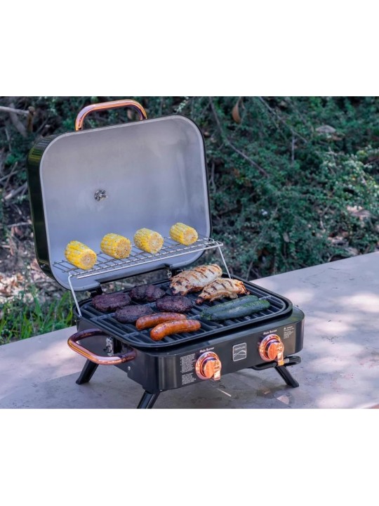 Kenmore gaasigrill, 2 põletiga, sininne