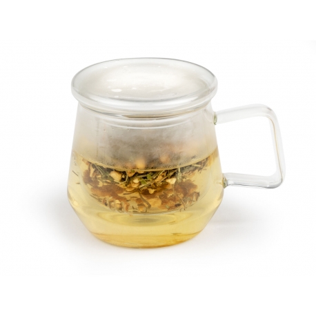 Bredemeijer Tea for One Livorno – Glass Transparent