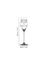 Spiegelau Champagne Glass Arabesque – Set of 2