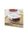Pebbly Rectangular Borosilicate Glass Food Storage Container with Airtight Lid
