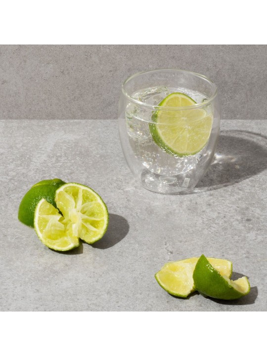 Bodum Pavina topeltseinaga klaas, 0,25 l (2 tk)