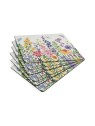 Pimpernel Wildflowers Set of 4 Large Placemats