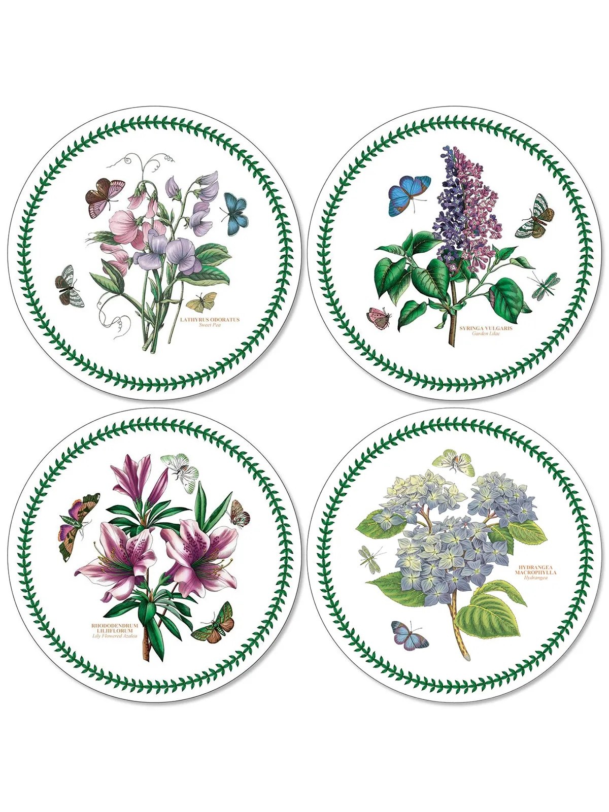 Pimpernel Botanic Garden Set of 4 Round Placemats