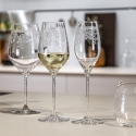 Wine and Champagne Glasses