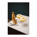 Spirits Glasses